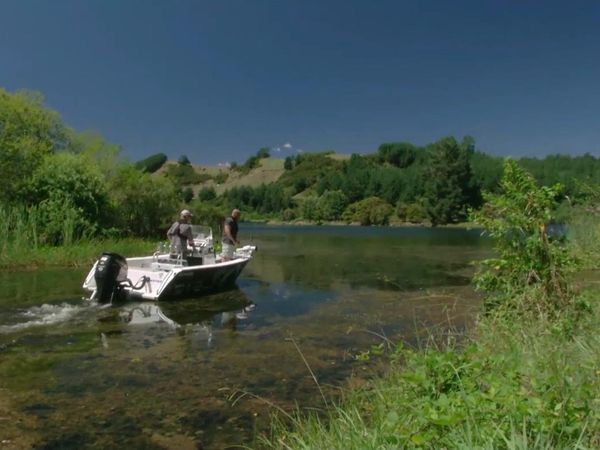 Big Angry Fish - Episode 4