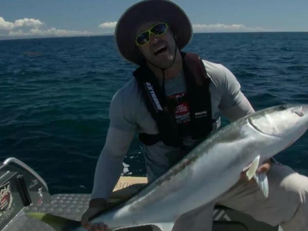 Big Angry Fish - Episode 5