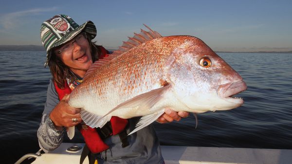 Big Angry Fish - Episode 6