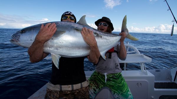 Big Angry Fish - Episode 7