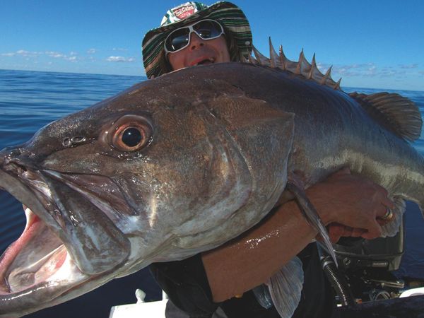 Big Angry Fish - Episode 8