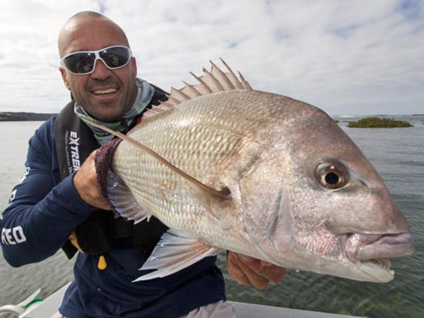 Big Angry Fish - Episode 4