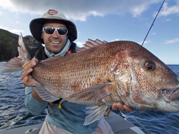 Big Angry Fish - Episode 7
