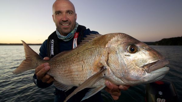 Big Angry Fish - Episode 9