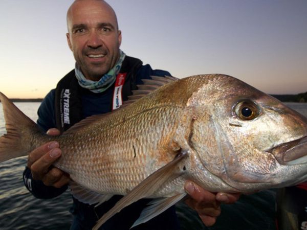 Big Angry Fish - Episode 9