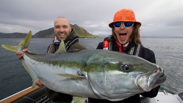 Big Angry Fish - Windy Day