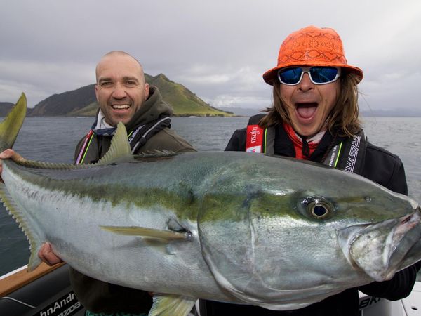 Big Angry Fish - Windy Day