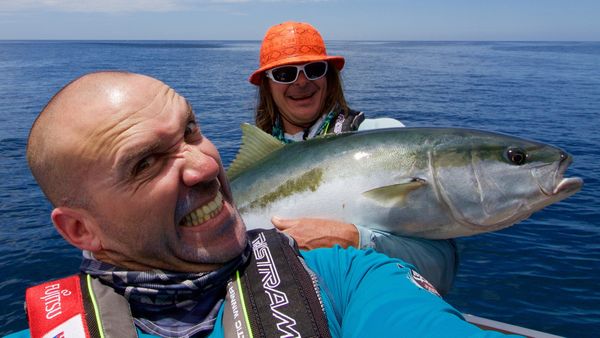 Big Angry Fish - Manaia Harbour