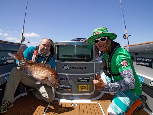 Big Angry Fish - Far North Skutes