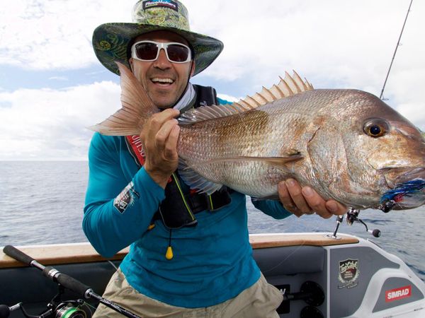 Big Angry Fish - Aldermen Islands