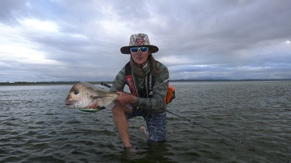 Big Angry Fish - Landbased Snapper