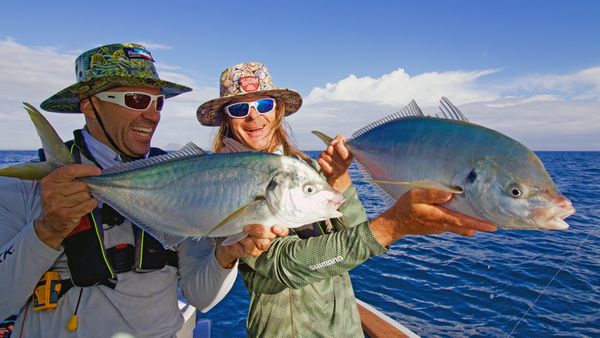 Big Angry Fish - Northland Trevally
