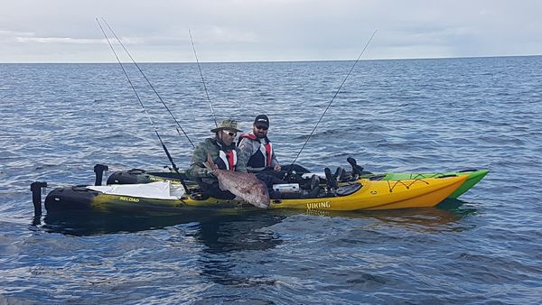 Big Angry Fish - Kayaks at the Reef