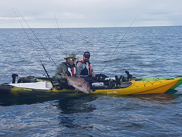 Big Angry Fish - Kayaks at the Reef