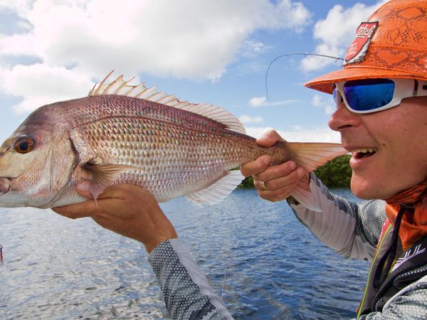 Big Angry Fish - Snapper on Micro Lures