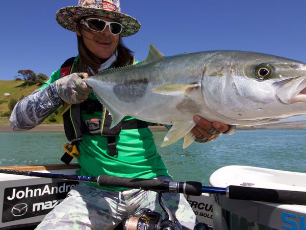 Big Angry Fish - Harbour Kings