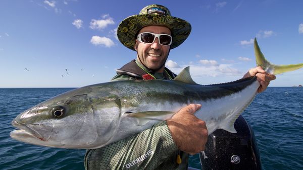 Big Angry Fish - Whangapoua