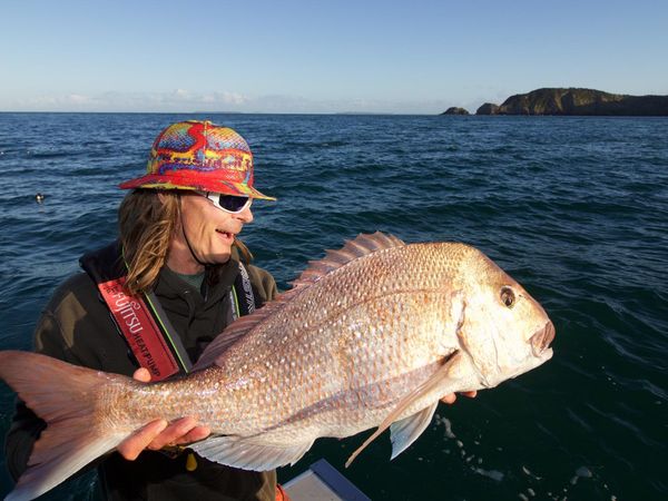 Big Angry Fish - Savoy