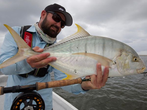 Big Angry Fish - Cape York