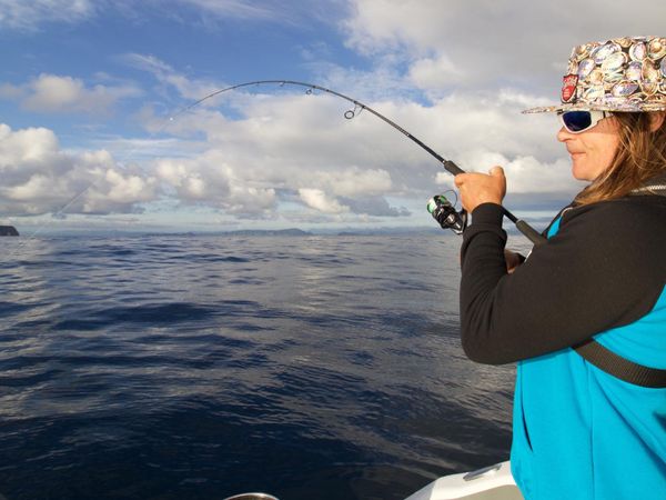 Big Angry Fish - Skuting The Coast