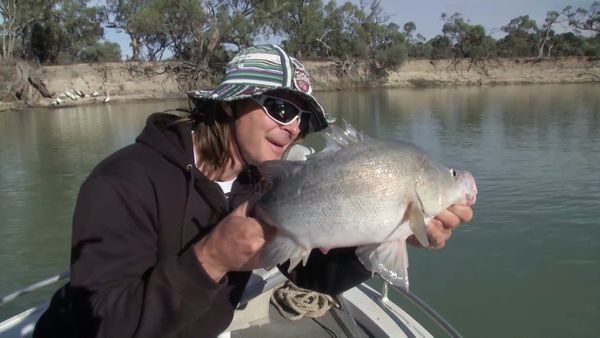 Big Angry Fish - Episode 3