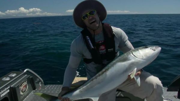 Big Angry Fish - Episode 5