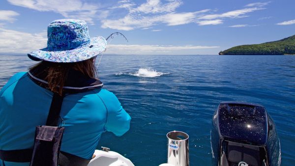 Big Angry Fish - Vanuatu Game Fishing