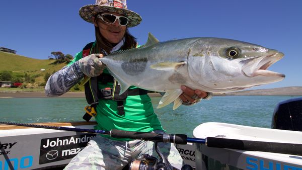 Big Angry Fish - Harbour Kings