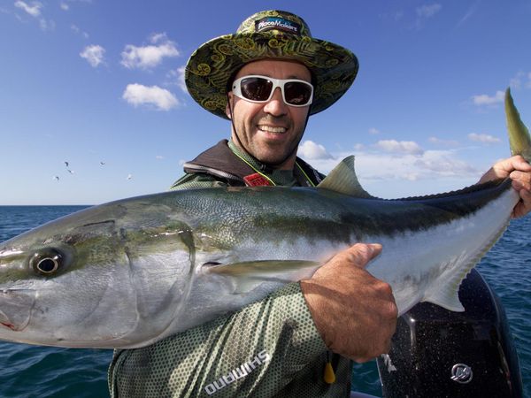 Big Angry Fish - Whangapoua