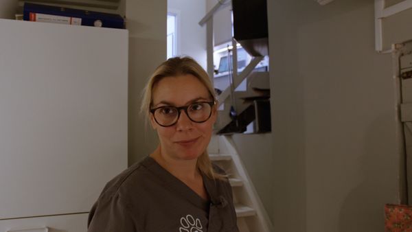 Dyreklinikken - Episode 102