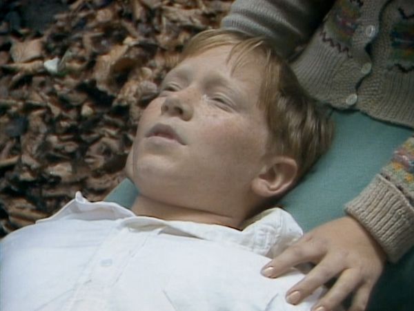 Die Chroniken von Narnia – Der König von Narnia - Aslans Sieg über das Böse