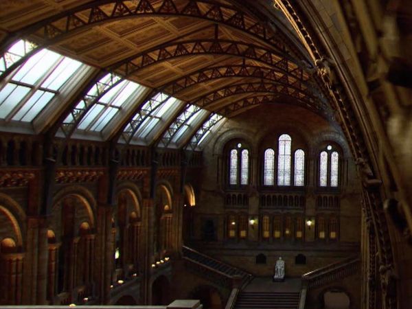 Eine Nacht Im Museum - Naturhistorsches Museum, London