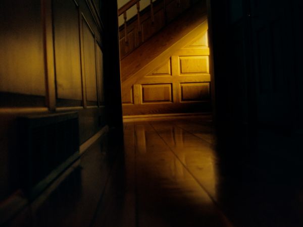 Haunted Discoveries: Family Spirits - Ancestral Watchers