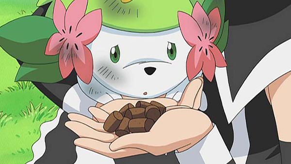 Pokémon the Series - Keeping in Top Forme!