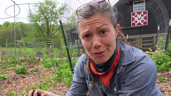 Anne Briggs: This Old House Makers Channel - Lazy Gardening: From Scratch