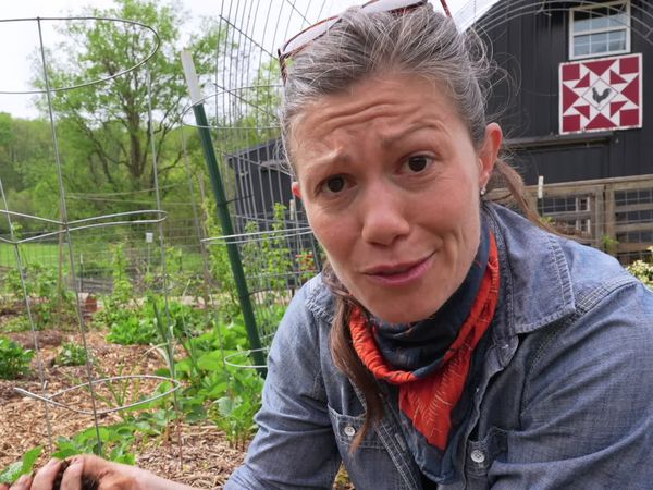 Anne Briggs: This Old House Makers Channel - Lazy Gardening: From Scratch