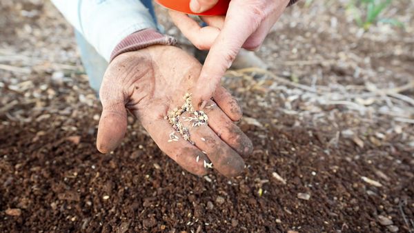 Anne Briggs: This Old House Makers Channel - Lazy Gardening: Spring Tour