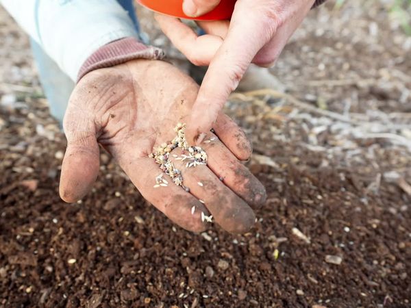 Anne Briggs: This Old House Makers Channel - Lazy Gardening: Spring Tour