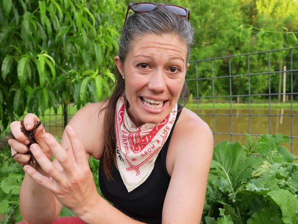 Anne Briggs: This Old House Makers Channel - Lazy Gardening: Pests
