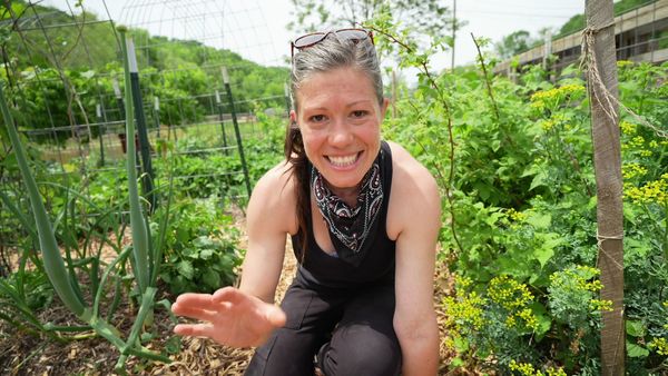 Anne Briggs: This Old House Makers Channel - Lazy Gardening: Healthy Soil