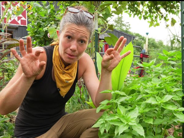 Anne Briggs: This Old House Makers Channel - Lazy Gardening: Watering