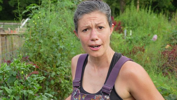 Anne Briggs: This Old House Makers Channel - Lazy Gardening: The Harvest