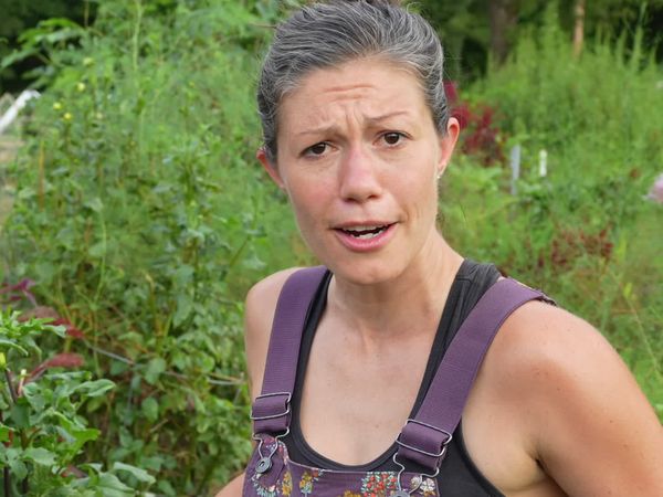 Anne Briggs: This Old House Makers Channel - Lazy Gardening: The Harvest