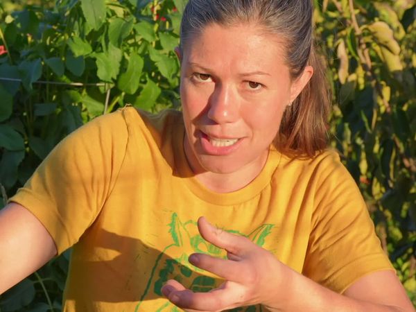 Anne Briggs: This Old House Makers Channel - Lazy Gardening: Fall Tips