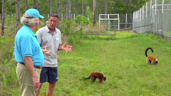Animal Zone - Episode 3