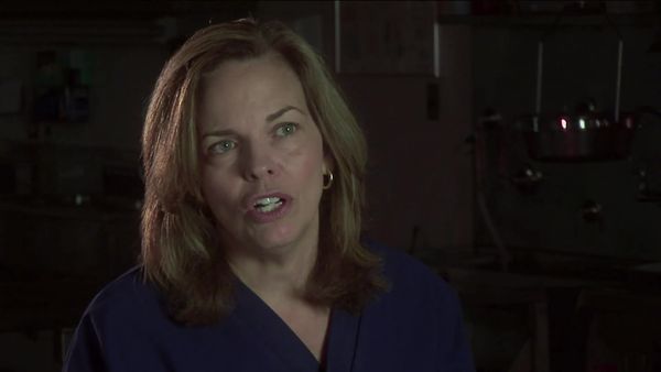 Dr. G: Medical Examiner - Vidas secretas