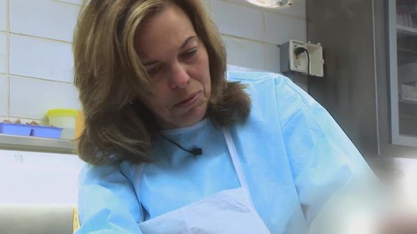 Dr. G: Medical Examiner - Tormentas mortales
