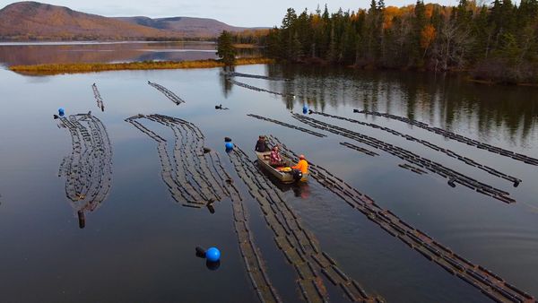 Spirit Talker - Waycobah First Nation, NS