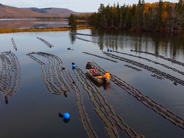 Spirit Talker - Waycobah First Nation, NS