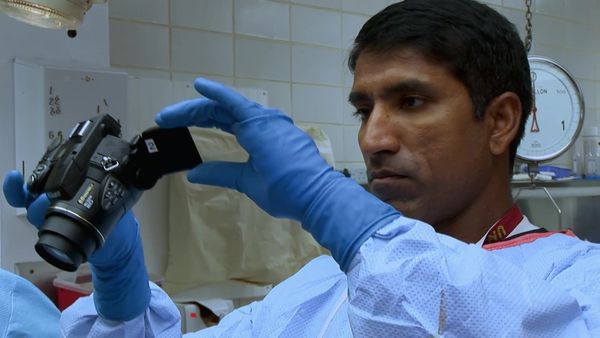 Dr. G: Medical Examiner - Últimos suspiros